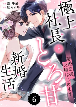 comic Berry’s離婚前提、夫婦はじめます～極上社長ととろ甘新婚生活～(6)
