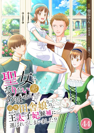 聖女になりたい訳ではありませんが　辺境からきた田舎娘なのに王太子妃候補に選ばれてしまいました!?【単話版】(44) 第44話　念願の東の砦へ