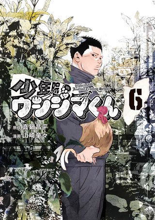 少年院ウシジマくん(6)