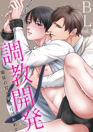 調教開発BL vol.3～服従の甘い刺激に囚われて