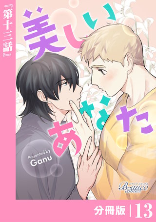 美しいあなた【分冊版】(13)