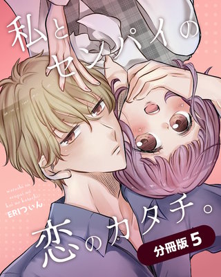 私とセンパイの恋のカタチ。【分冊版】(5)