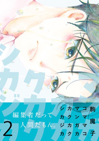 マンガカカクカクシカジカ【単行本版】2