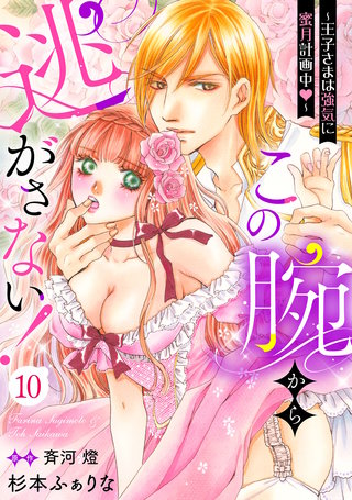 この腕から逃がさない!~王子さまは強気に蜜月計画中~【分冊版】10