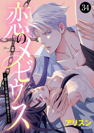 恋のメビウス～彼との主従は幻影の彼方から～(34)