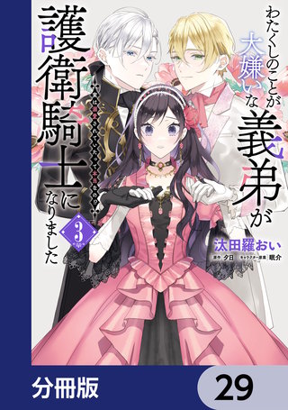 わたくしのことが大嫌いな義弟が護衛騎士になりました【分冊版】　29
