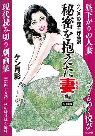 ケン月影珠玉作品選（分冊版）【第45話】秘密を抱えた妻編