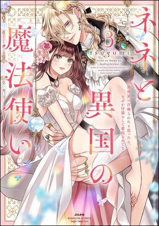 ネネと異国の魔法使い 異世界に召喚されたと思ったら、なぜか仔猫として愛玩されてます(3)【かきおろし漫画＆電子限定ペーパー付】