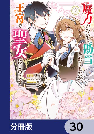 魔力がないと勘当されましたが、王宮で聖女はじめます【分冊版】　30