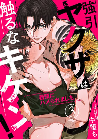 強引ヤクザは触るなキケン！～若頭にハメられました３