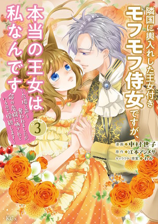 隣国に輿入れした王女付きモフモフ侍女ですが、本当の王女は私なんです ～立場と声を奪われましたが、命の危機に晒されているので傍観します～(3)