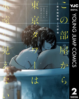 この部屋から東京タワーは永遠に見えない(2)