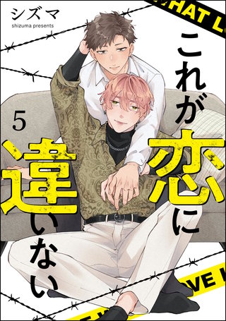 これが恋に違いない（分冊版）【第5話】＜デジタル修正版＞