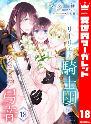 リーリエ国騎士団とシンデレラの弓音 18