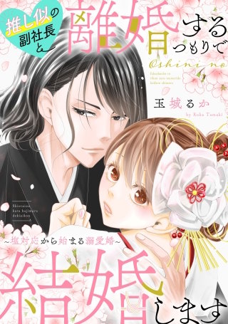 推し似の副社長と離婚するつもりで結婚します～塩対応から始まる溺愛婚～【単話】(24)