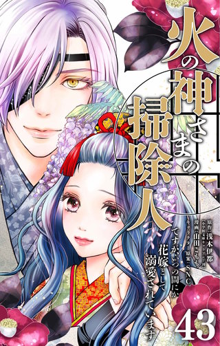 火の神さまの掃除人ですが、いつの間にか花嫁として溺愛されています【単話】(43)