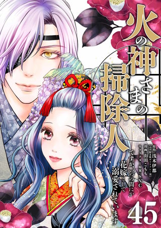 火の神さまの掃除人ですが、いつの間にか花嫁として溺愛されています【単話】(45)