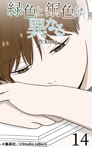 緑色と銅色は異なる14