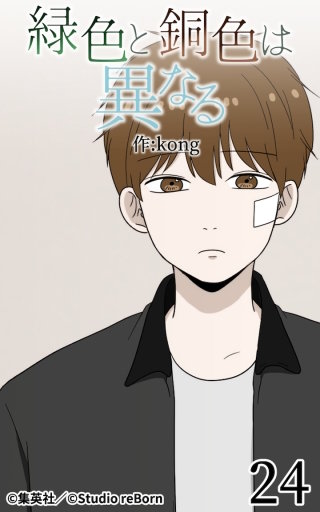 緑色と銅色は異なる24