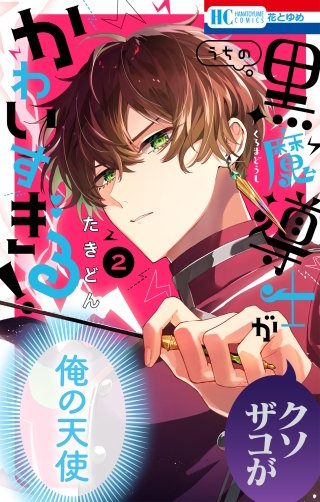 うちの黒魔導士がかわいすぎる！(2)