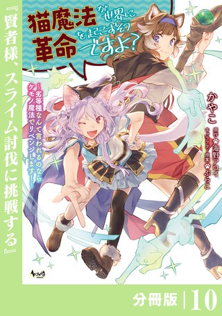 猫魔法が世界に革命を起こすそうですよ？【分冊版】（ノヴァコミックス）(10)
