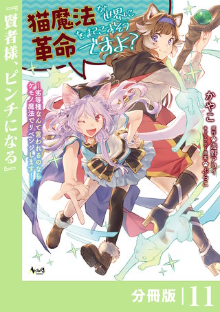 猫魔法が世界に革命を起こすそうですよ？【分冊版】（ノヴァコミックス）(11)