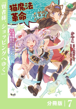 猫魔法が世界に革命を起こすそうですよ？【分冊版】（ノヴァコミックス）(7)