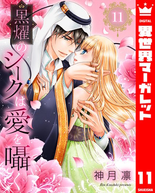 黒燿のシークは愛を囁く(11)