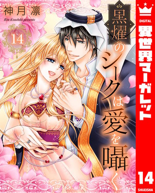 黒燿のシークは愛を囁く(14)