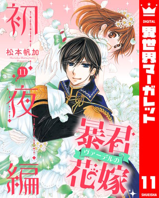 暴君ヴァーデルの花嫁 初夜編(11)