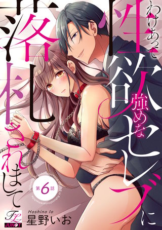 わけあって性欲強めなセレブに落札されまして 第6話