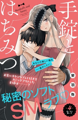 手錠とはちみつ 分冊版(4)