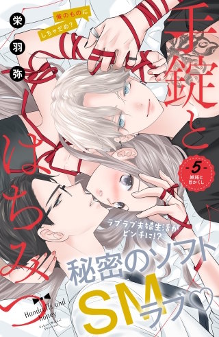 手錠とはちみつ 分冊版(5)
