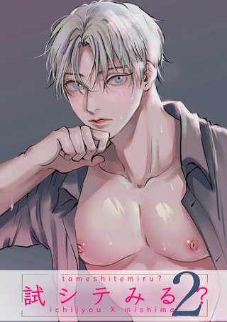 試シテみる?(2)