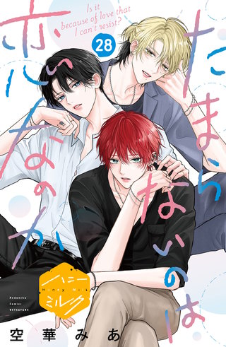たまらないのは恋なのか 分冊版(28)