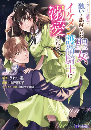 ヴェールの聖女 ～醜いと誤解された聖女、イケメン護衛騎士に溺愛される～(コミック)(3)