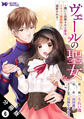 ヴェールの聖女 ～醜いと誤解された聖女、イケメン護衛騎士に溺愛される～(コミック) 分冊版(6)