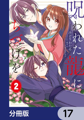 呪われた龍にくちづけを【分冊版】　17