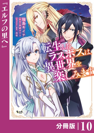 転生したラスボスは異世界を楽しみます【分冊版】（ノヴァコミックス）(10)