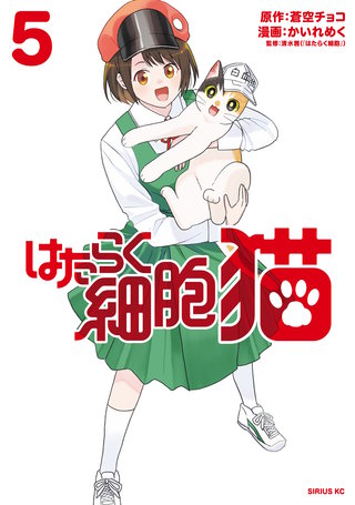 はたらく細胞 猫(5)