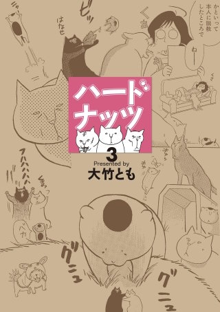 ハードナッツ 3