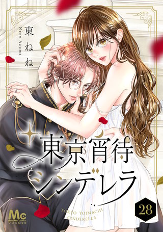 東京宵待シンデレラ(28)