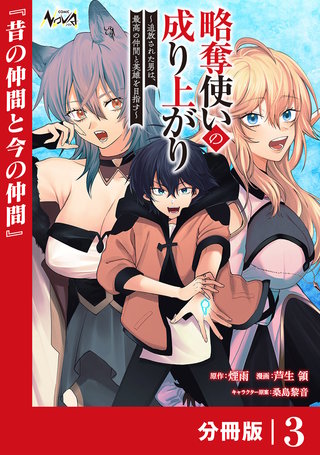 略奪使いの成り上がり～追放された男は、最高の仲間と英雄を目指す～【分冊版】（ノヴァコミックス）(3)