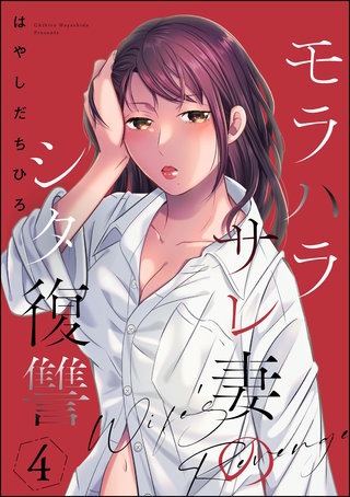 モラハラサレ妻のシタ復讐(4)
