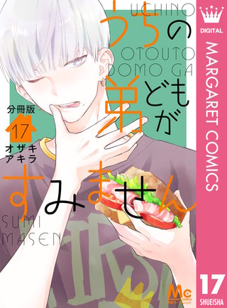 うちの弟どもがすみません 分冊版(17)
