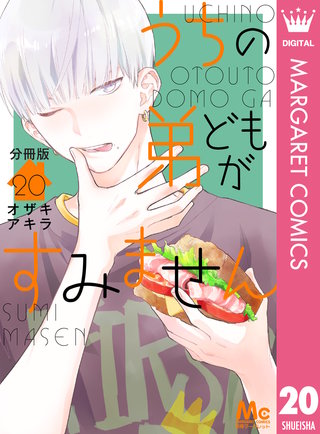 うちの弟どもがすみません 分冊版(20)