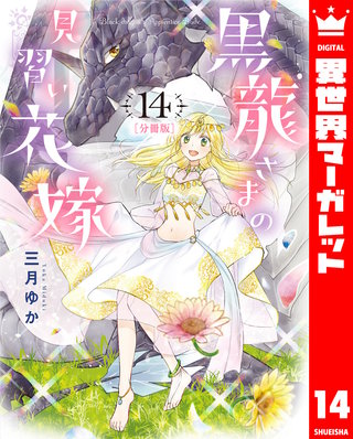 【分冊版】黒龍さまの見習い花嫁(14)