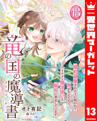 竜の国の魔導書 ～婚約破棄された上に呪われて角が生えたので、イケメン魔法使いと解呪に奔走しています～(13)