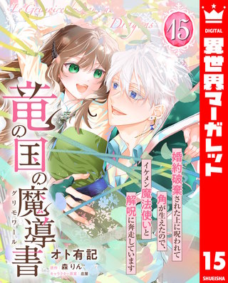 竜の国の魔導書 ～婚約破棄された上に呪われて角が生えたので、イケメン魔法使いと解呪に奔走しています～ 15