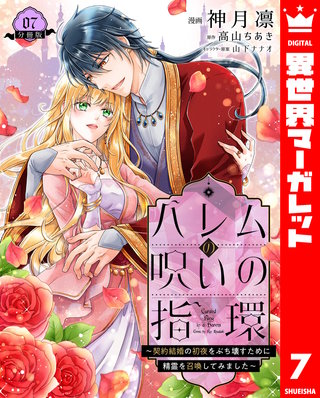 ハレムの呪いの指環～契約結婚の初夜をぶち壊すために精霊を召喚してみました～(7)